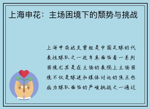 上海申花：主场困境下的颓势与挑战